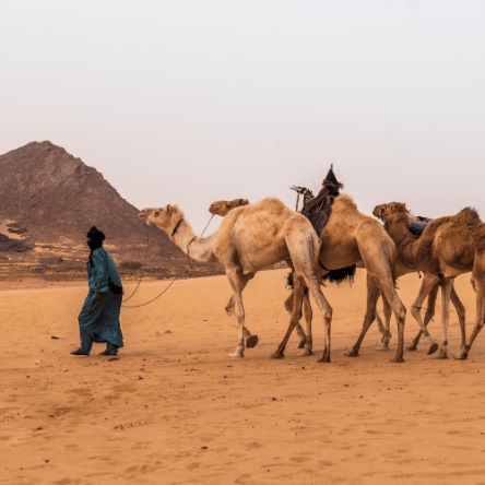 Algeria – Trekking sull’altopiano del Tassili (4)