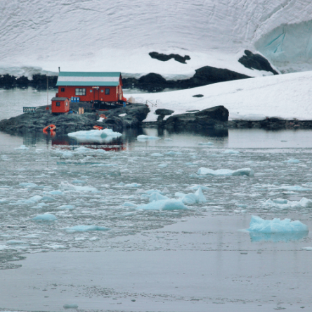 Antartide – Antartic Explorer (4)