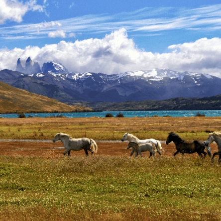 Argentina, Cile - Viaggio tra Patagonia e Finis Terrae (4)