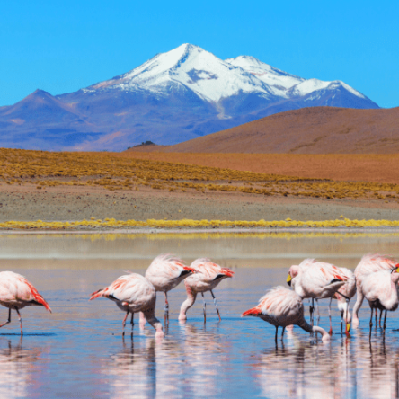 Bolivia, Cile – Viaggio attraverso gli Altipiani Andini (2)