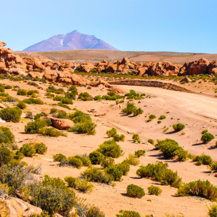 Bolivia, Cile – Viaggio attraverso gli Altipiani Andini (5)