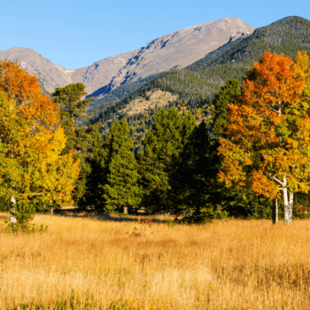 Canada – Rockie Mountains in Fly & Drive (5)