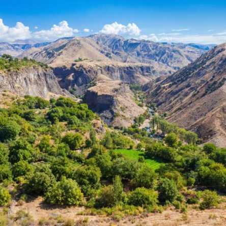 Garni