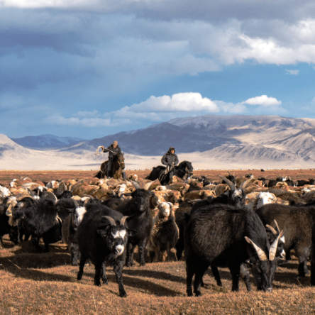 Mongolia – Viaggio nella terra di Gengis Khan (5)