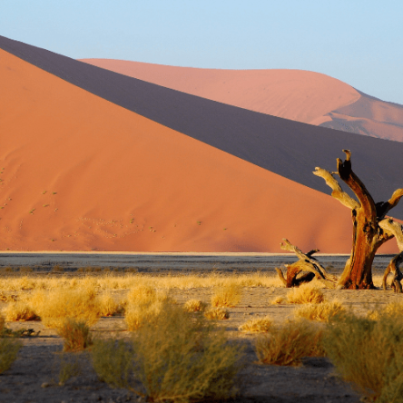 Namibia – Fly&Drive (4)