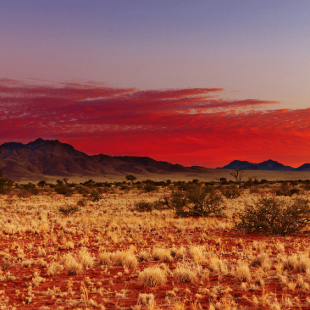 Namibia – Panorama Namibiano in gruppo (3)
