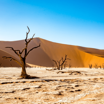 Namibia – Panorama Namibiano in gruppo (5)