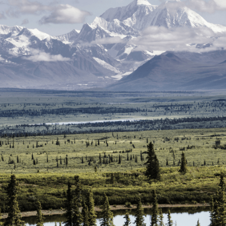 Stati Uniti - Alaska_ Salita al McKinley (6187 m) (5)