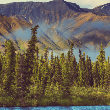 Stati Uniti - Alaska_ Salita al McKinley (6187 m)