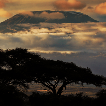 Tanzania - Trekking al Kilimanjaro_ la via Machame