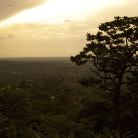 Uganda – Trekking al Monte Rwenzori (2)