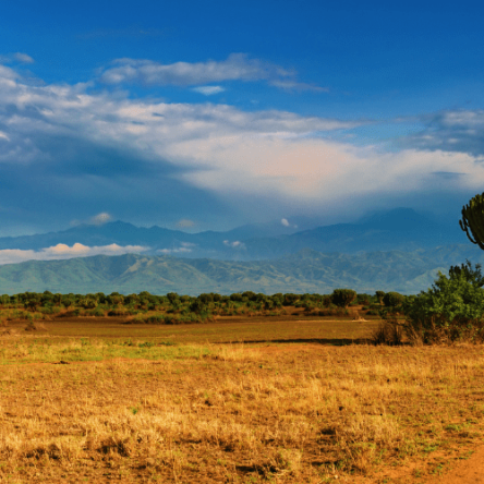 Uganda – Trekking al Monte Rwenzori