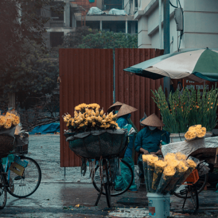 Vietnam – Il passo delle nuvole (2)